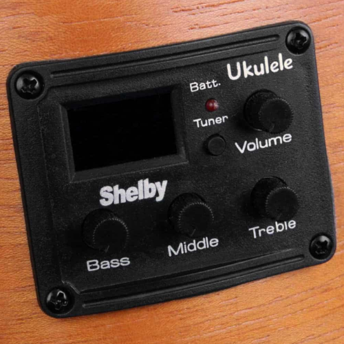 Equalizador Integrado com Afinador