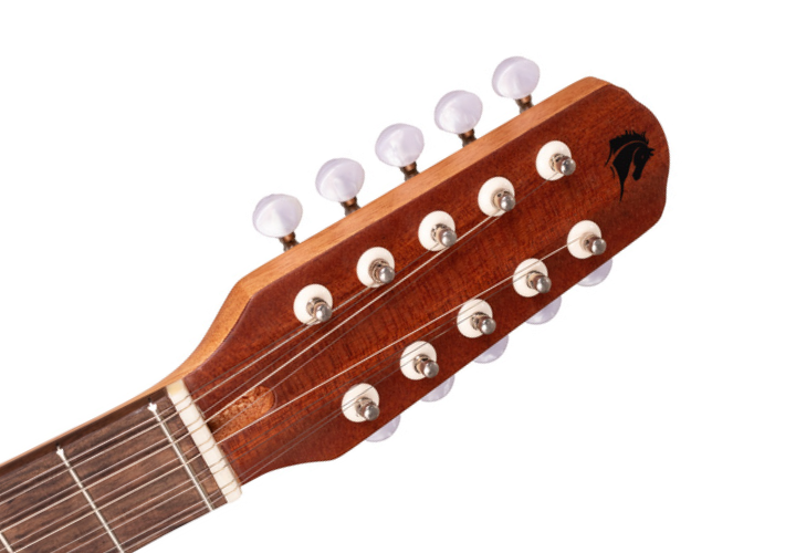 Braço Cedro e Escala Rosewood