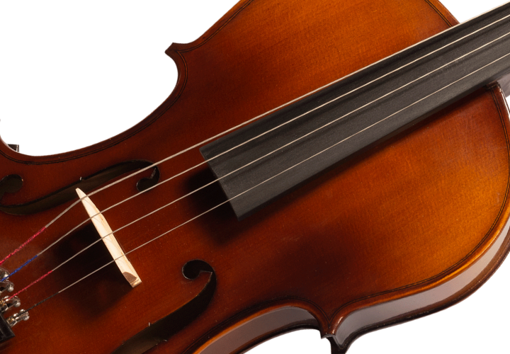 Fundo e Laterais Maple Maciço