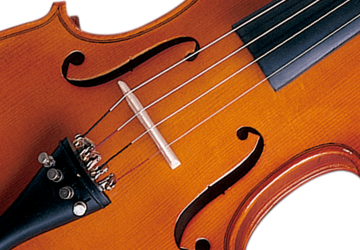 Fundo e Laterais Maple