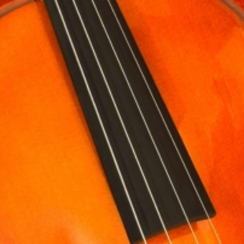 Arco Octogonal e Estojo Térmico