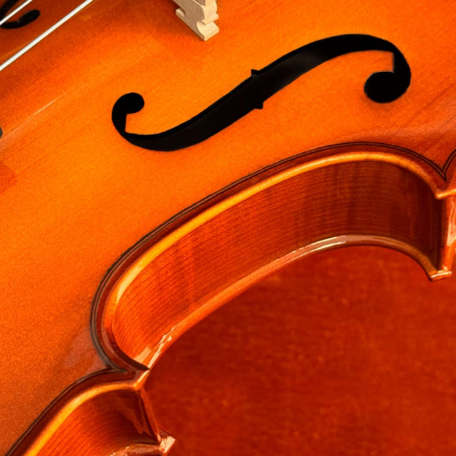 Arco Octogonal e Estojo Térmico