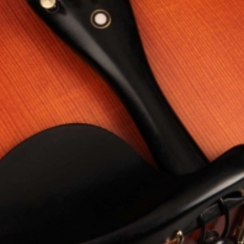 Arco Octogonal e Estojo Super Luxo