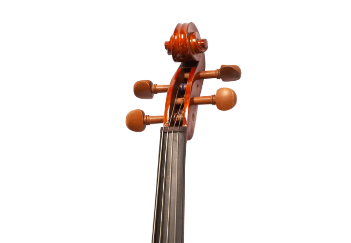 Cravelhas Boxwood e Microafinadores Removíveis