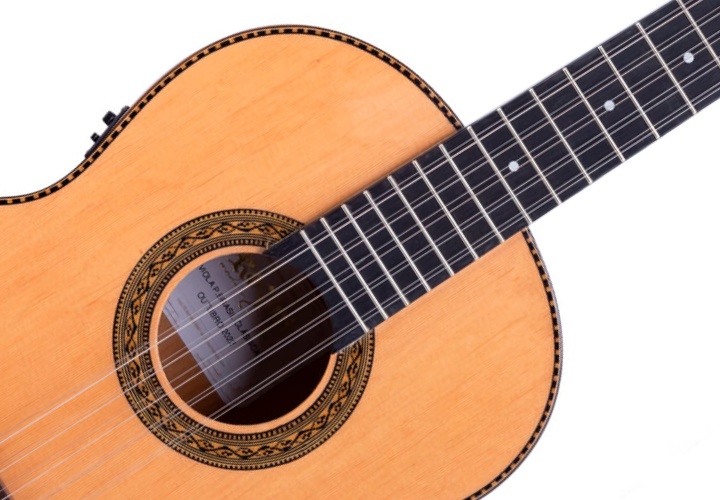 Tarraxas Douradas Pino Fino