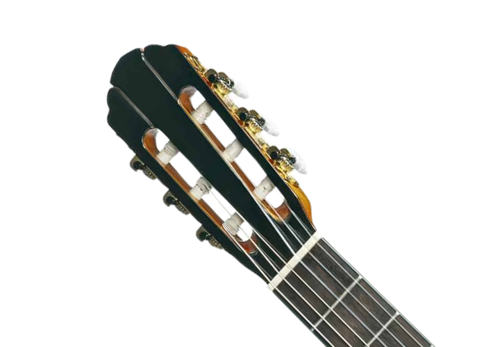 Tampo Spruce Sólido Natural