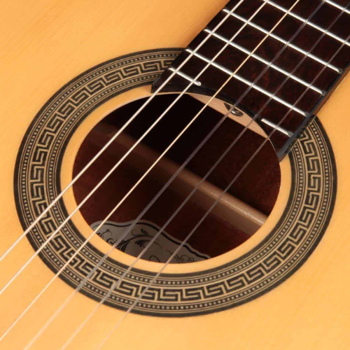 Corpo Mogno e Tarraxas Douradas