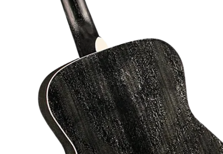 Fishman Sonitone