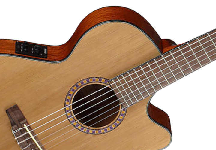 Fishman Presys II