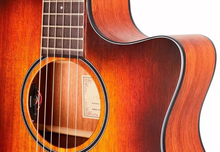 Corpo Grand Auditorium All Solid Blackwood com Cutaway Veneziano