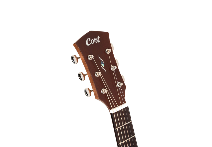 Fishman Presys VT