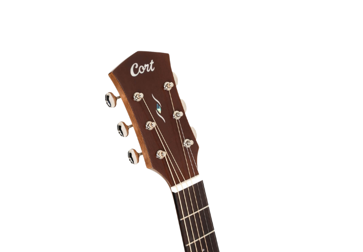Fishman Presys VT