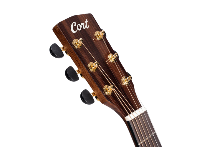 L.R. Baggs EAS-VTC