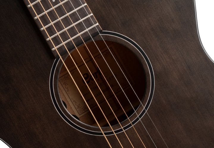 Captação Fishman Presys VT