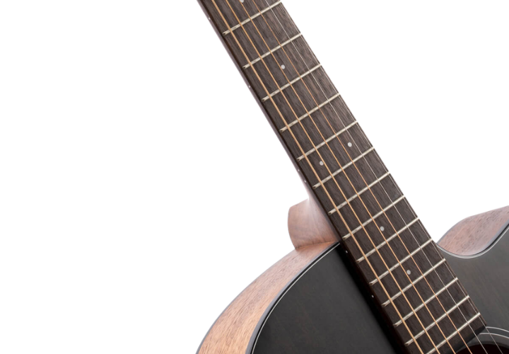 Corpo OM Cutaway