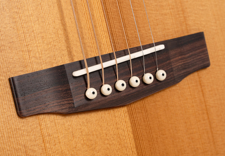 Corpo Mahogany Cutaway