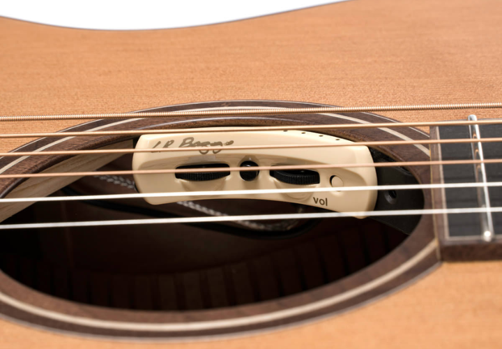 Corpo Mogno Sólido Cutaway