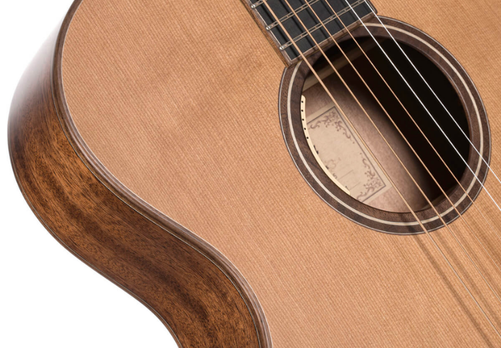 Sistema L.R. Baggs Anthem