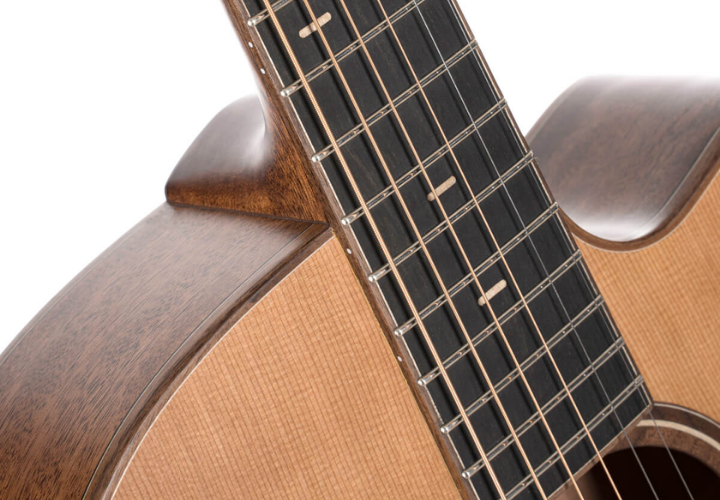 Sistema L.R. Baggs Anthem