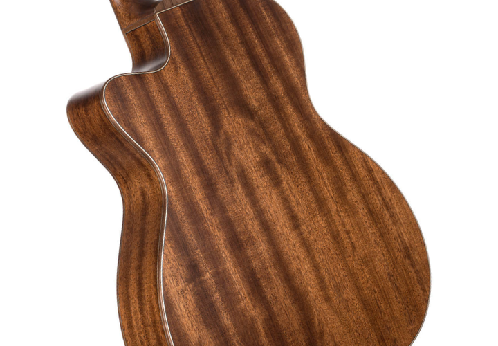 Sistema L.R. Baggs Anthem