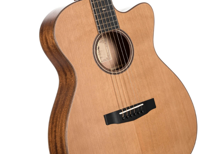 Sistema L.R. Baggs Anthem