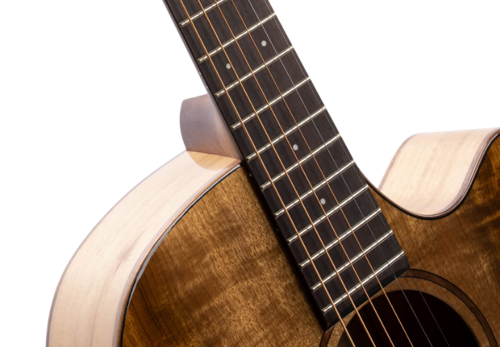 Pré Fishman Presys II