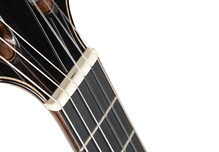 Sistema Fishman S-Core VTB