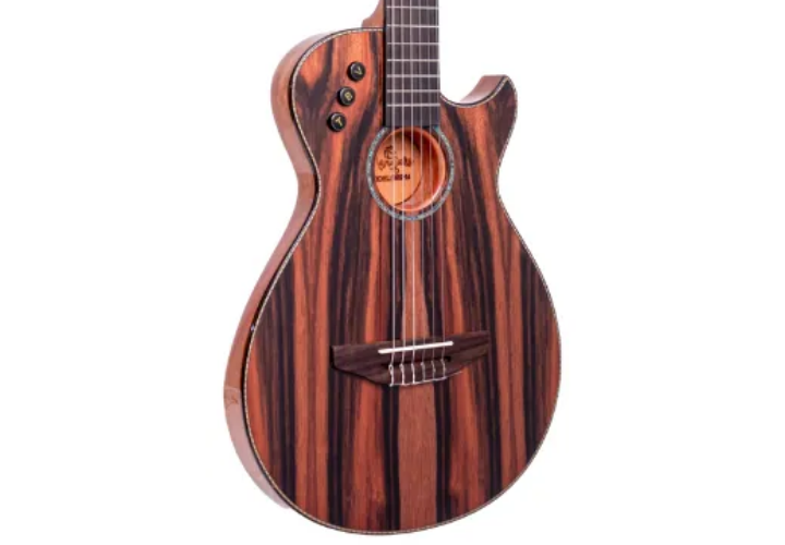 Corpo Flat Anatômico Cutaway