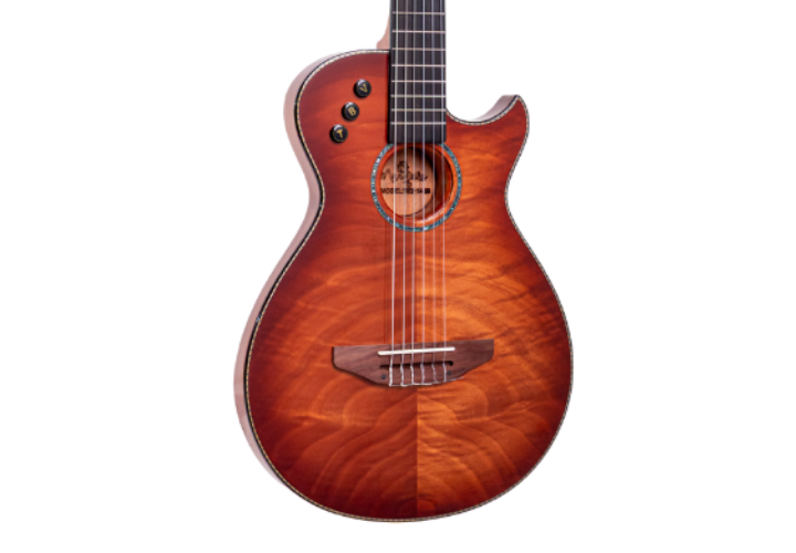 Corpo Flat Anatômico Cutaway