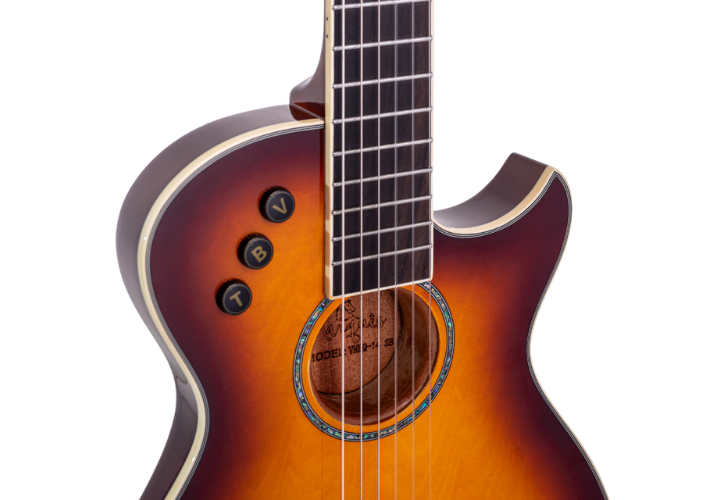 Corpo Flat Anatômico Cutaway