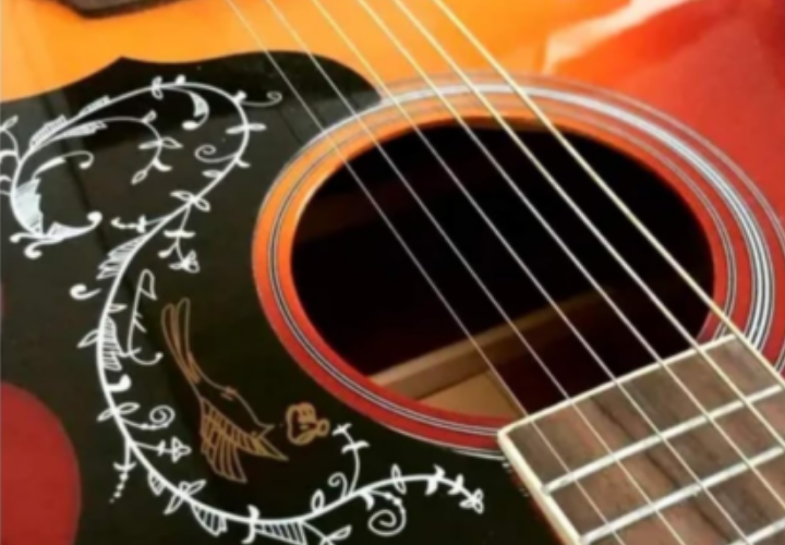 Equalizador 4 Bandas com Afinador