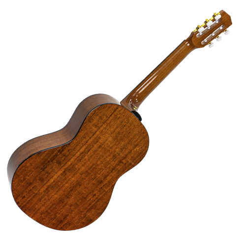 Braço Nato e Tarraxas Douradas