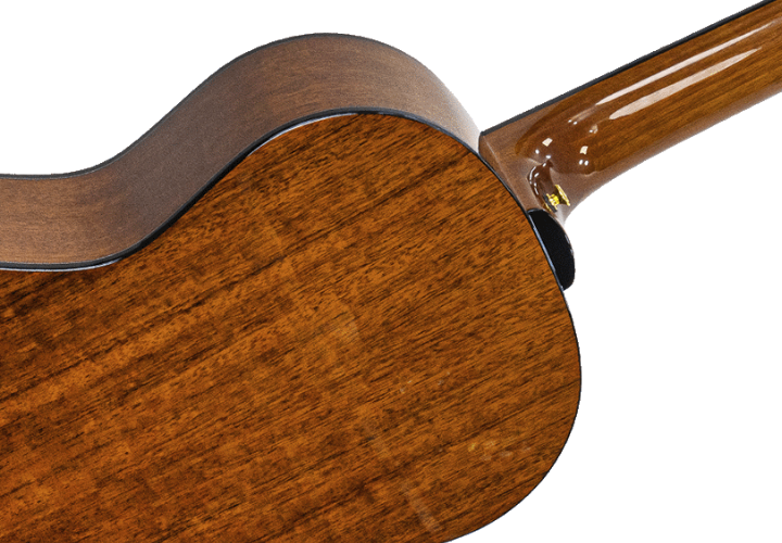 Equalizador Michael DUO