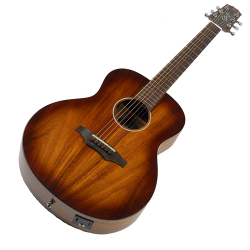 Pré Fishman Sonitone