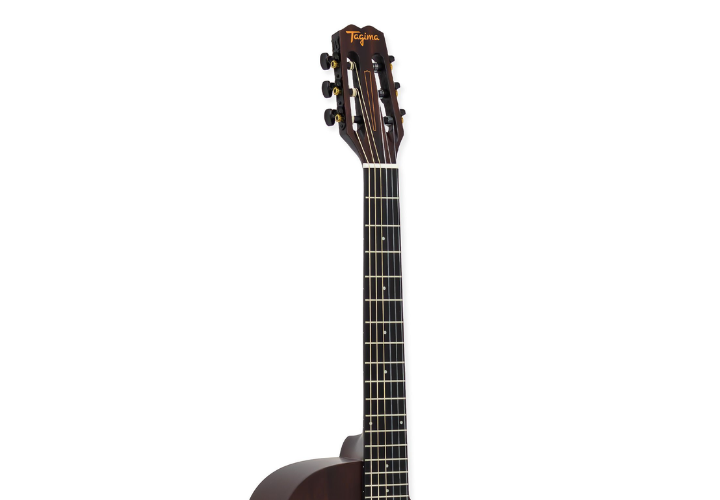 Escala Technical Wood e Braço Mahogany