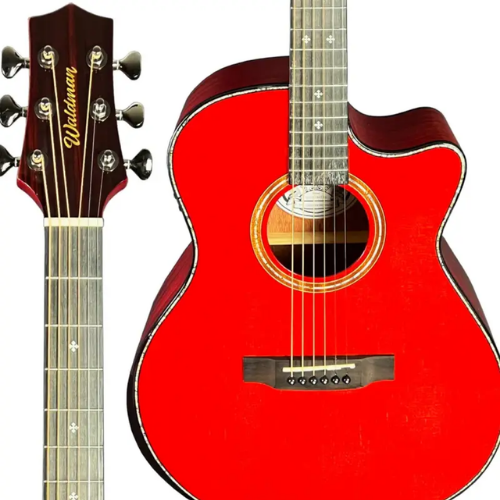 Corpo Grand Auditorium Cutaway