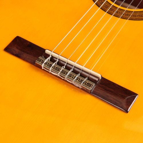 Tampo Spruce Sólido