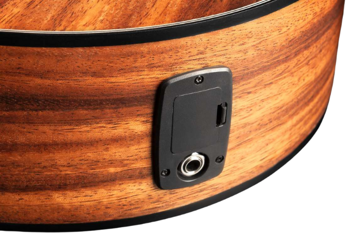 Pré-Audisys XR e Controles no Violão Hofma