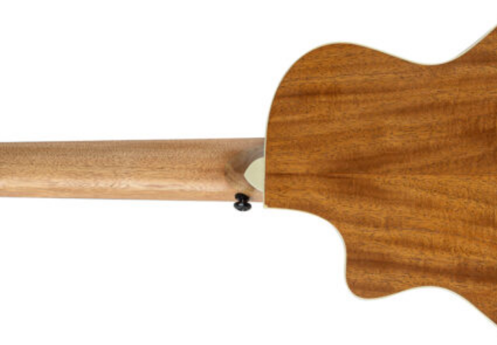 Design Panda Divertido