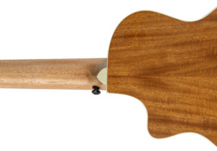 Design Panda Divertido