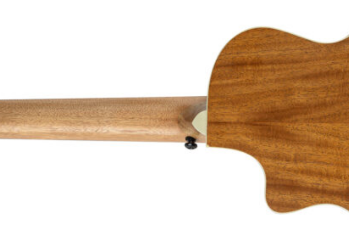 Design Panda Divertido