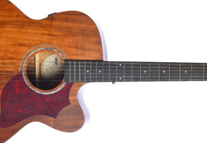 Headstock com Hardware Cromado