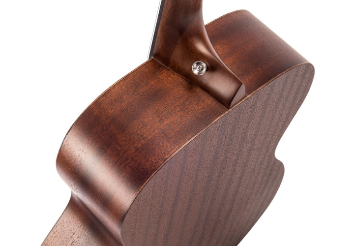 Tampo Spruce e Roseta