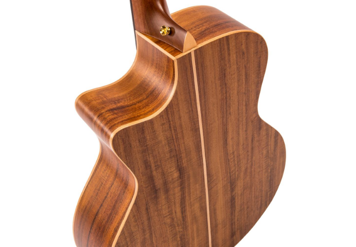 Tampo Spruce Sólido e Cutaway