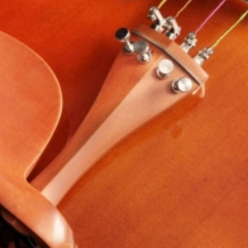 Arco com Olho Paris e Estojo Extra Luxo