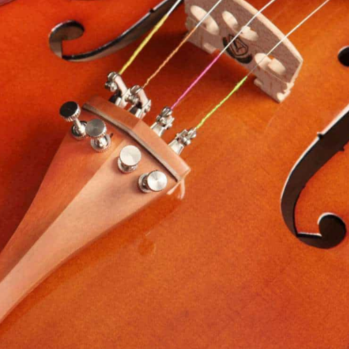 Arco com Olho Paris e Estojo Extra Luxo