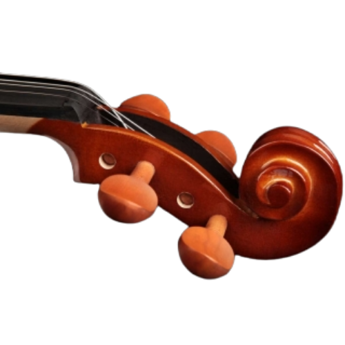 Arco com Olho Paris e Estojo Extra Luxo