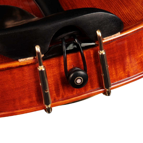 Corpo Maple e Verniz Brilhante