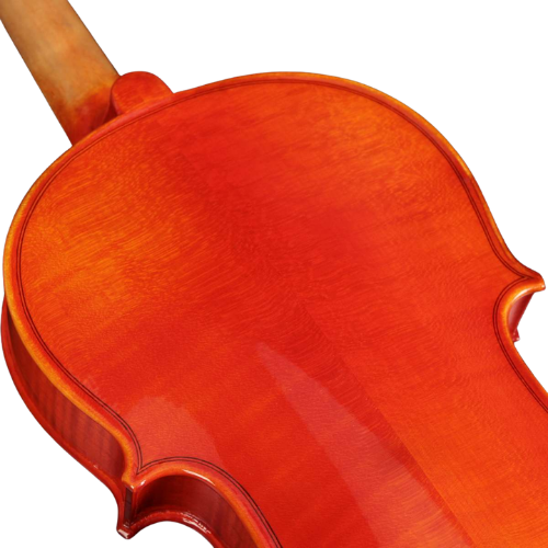 Corpo Maple e Verniz Brilhante