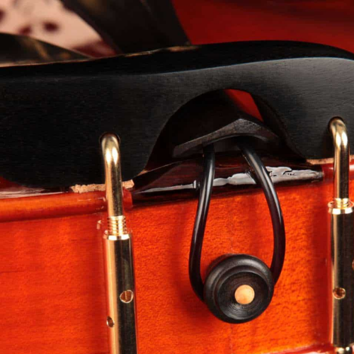 Cravelhas Ébano Formato Coração e Estojo Super Luxo